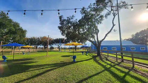 Picnic area with string lights beside the fields